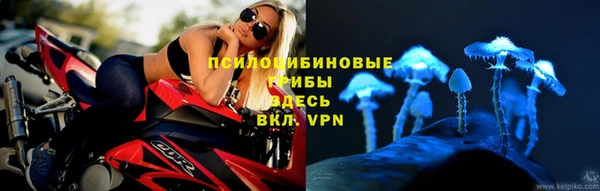 гидра Армянск