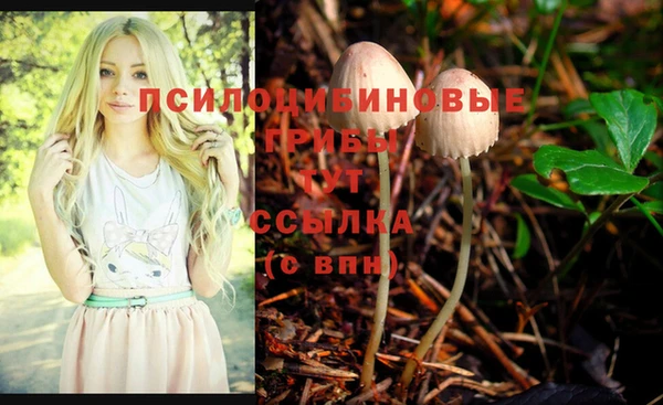 таблы Аркадак